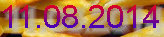 frittenkarl004002.jpg