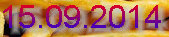 frittenkarl004010.jpg